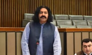 Ali Wazir bail