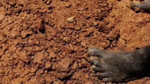 Collapse of a defunct gold mine kills dozens in Sudan