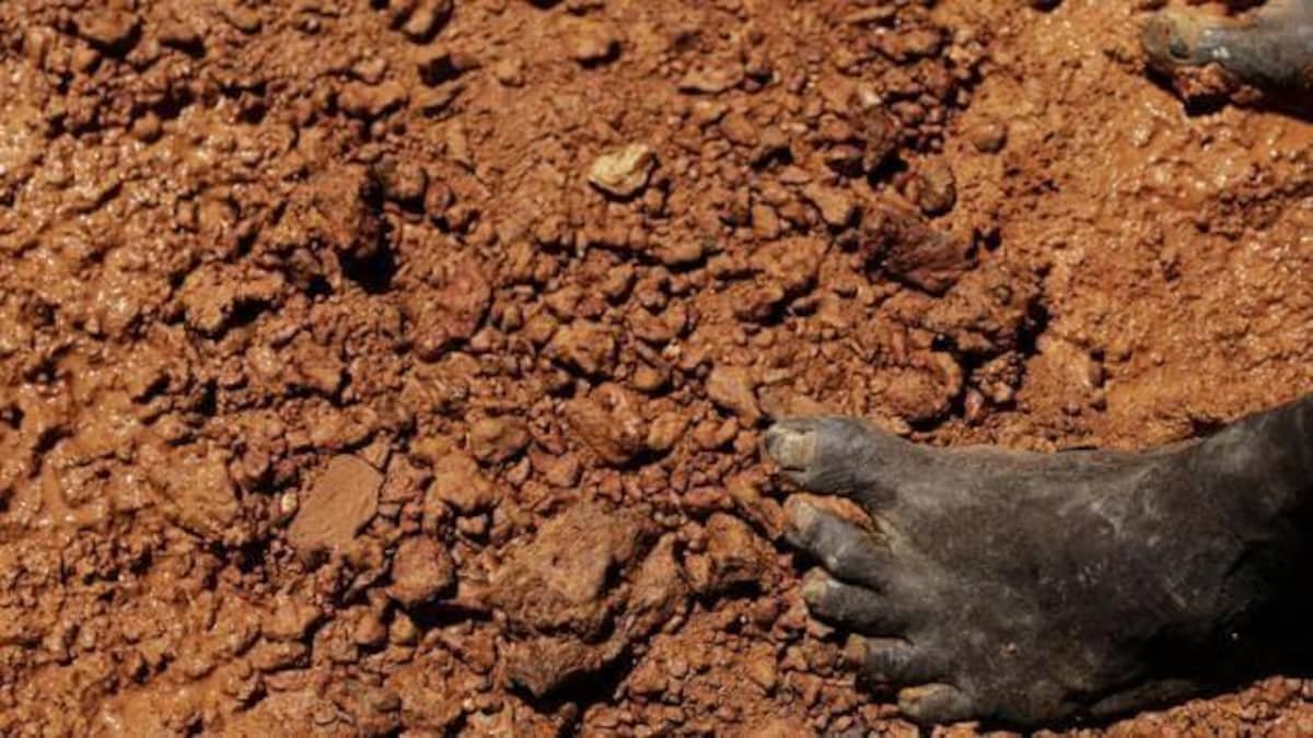 Collapse of a defunct gold mine kills dozens in Sudan