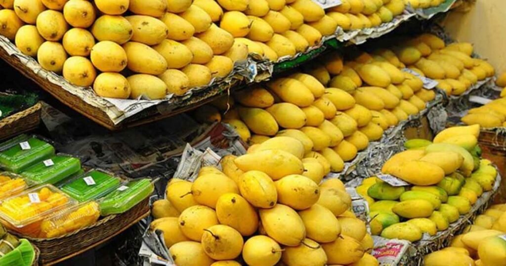 Pakistan to export 125,000 tonnes of mangoes