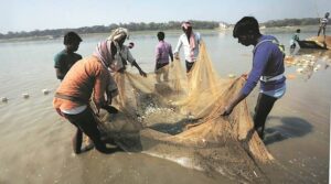 Pakistani Fisherman becomes millionaire overnight after selling rare fish