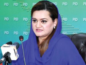 Marriyum Aurangzeb clarifies PM's 'apple of eye' comment