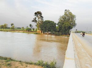 Woman dies by jumping in Rohri Canal