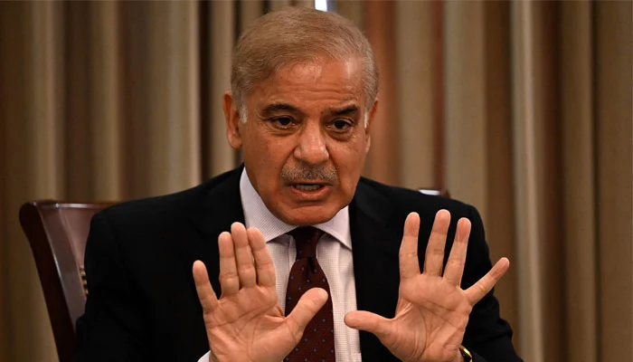 Arab-Islamic summit: PM Shehbaz reaffirms call for free Palestinian state