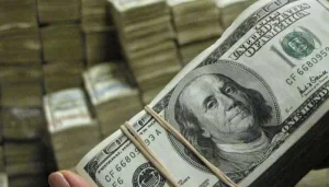 how foreign investors can be encouraged to divert their dollars to Pakistan?