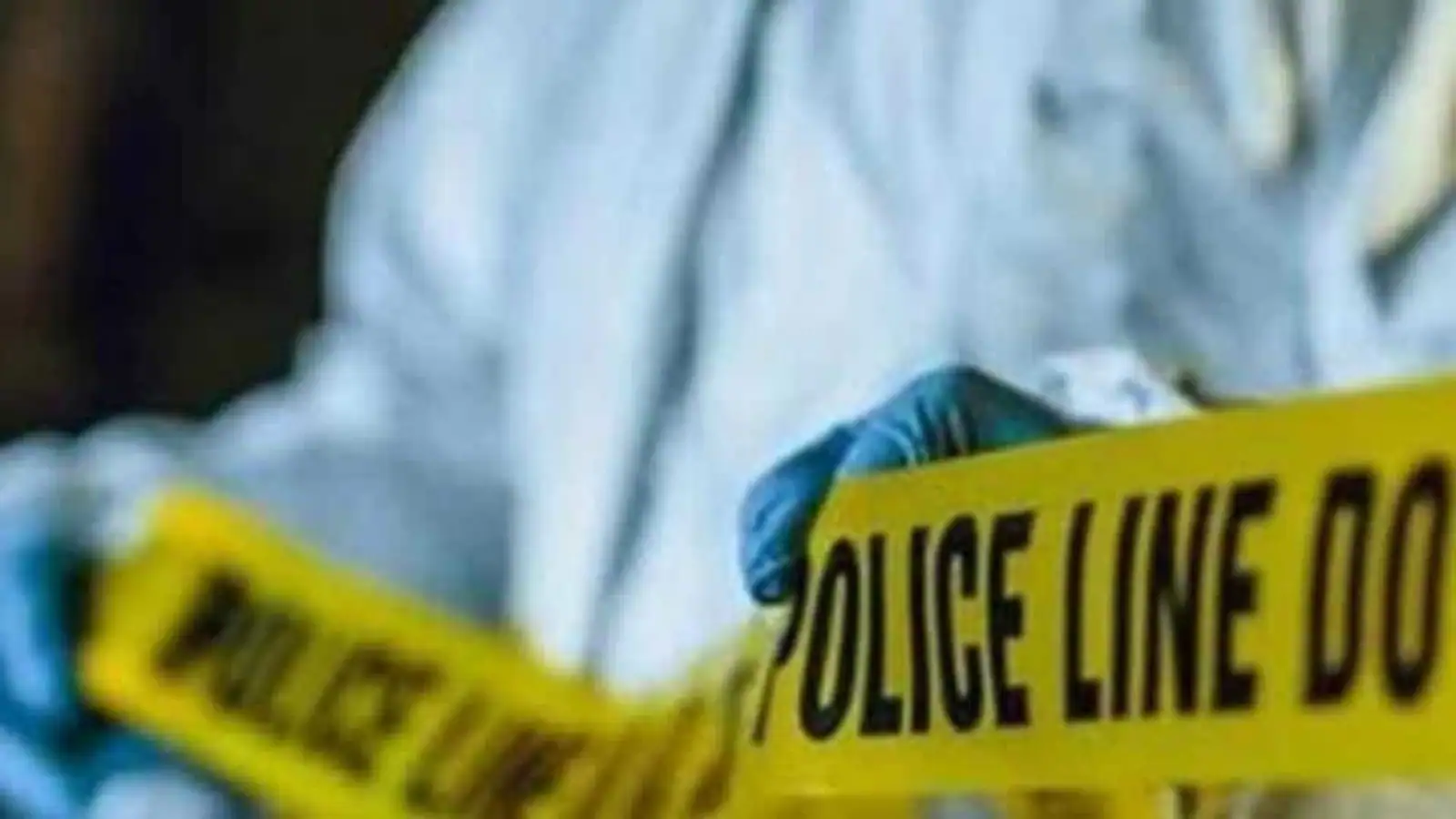 Hyderabad woman stabbed to death by Brazilian flatmate in London