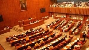 Senate rejects bill seeking public hanging of rape convicts