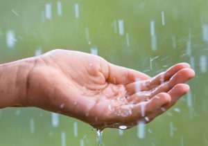 Rain likely to hit city from February 25 in Karachi