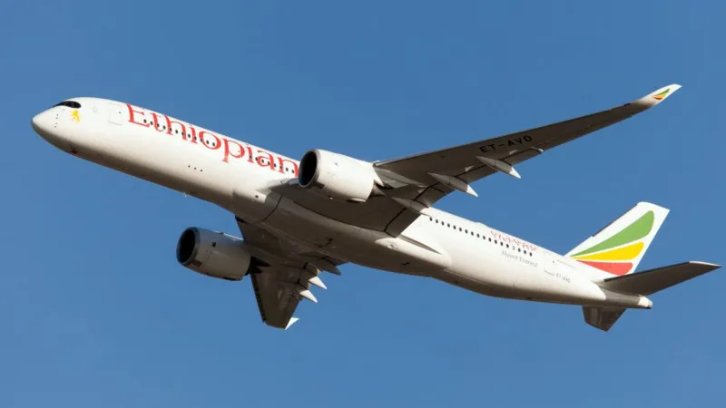 Pilots on Ethiopian airlines flight reportedly fall asleep, miss landing