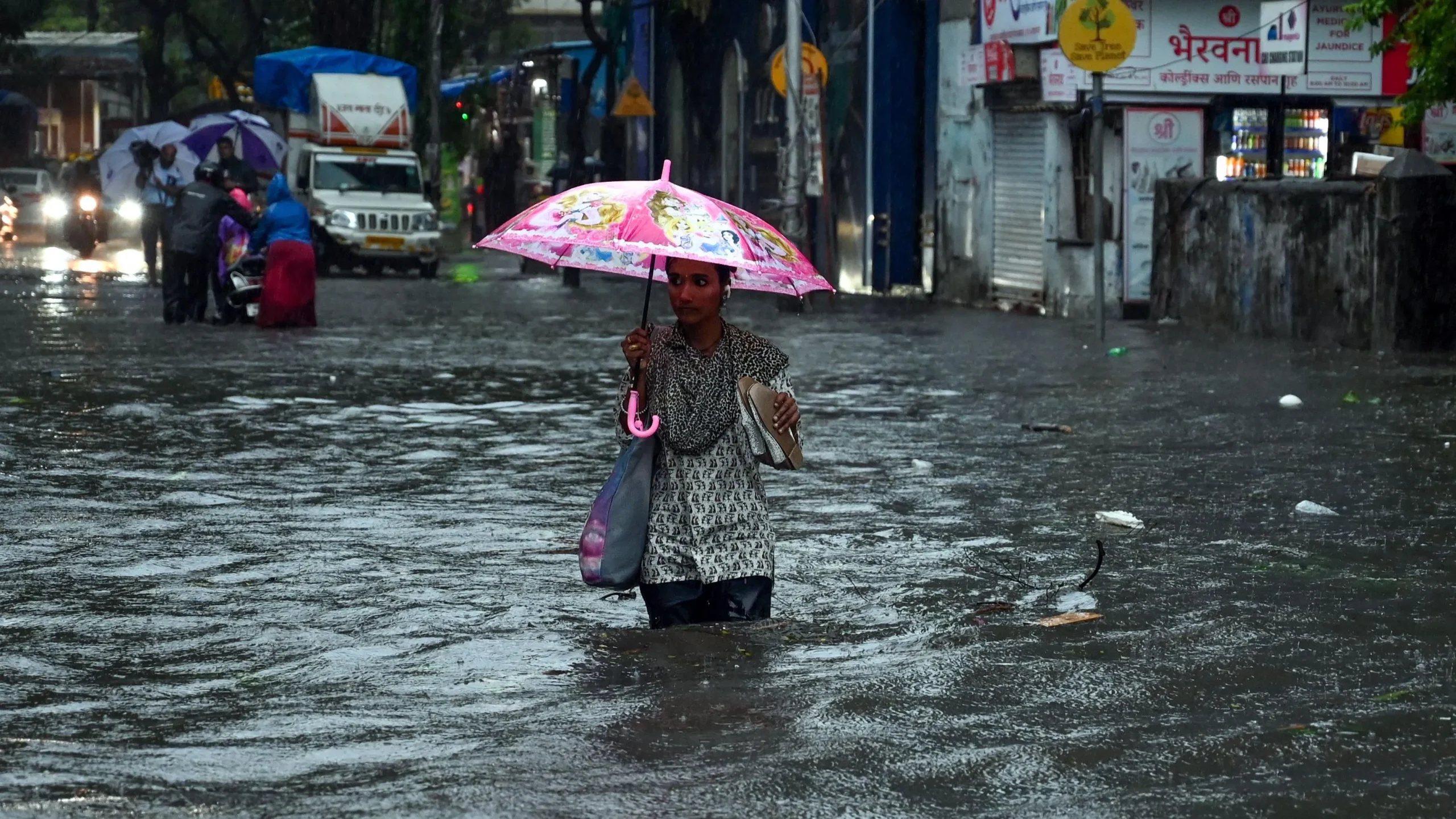 Devastating monsoon of 2022