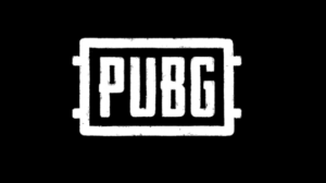 Pakistani woman crossed border with her 4 kids to be with man she met on PUBG