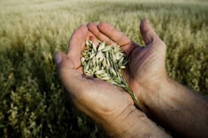 What is cloud-based sustainable agriculture?