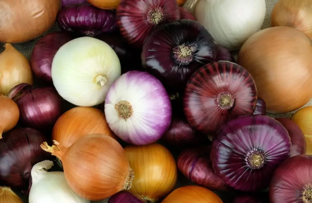 Why Red Onions Are Helpful During Summer Heat