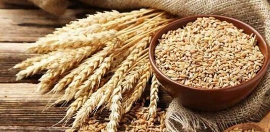 Reforming wheat support in Pakistan: A Shift from minimum support price to direct subsidies