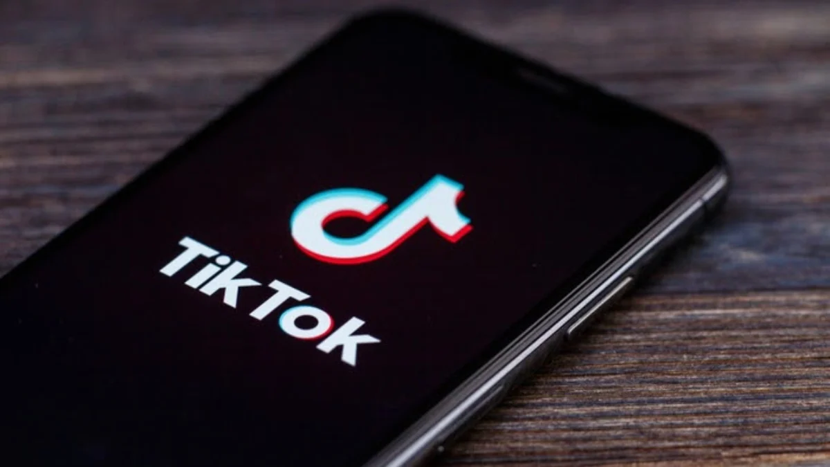 'Letter to America': TikTok responds to viral Osama bin Laden videos