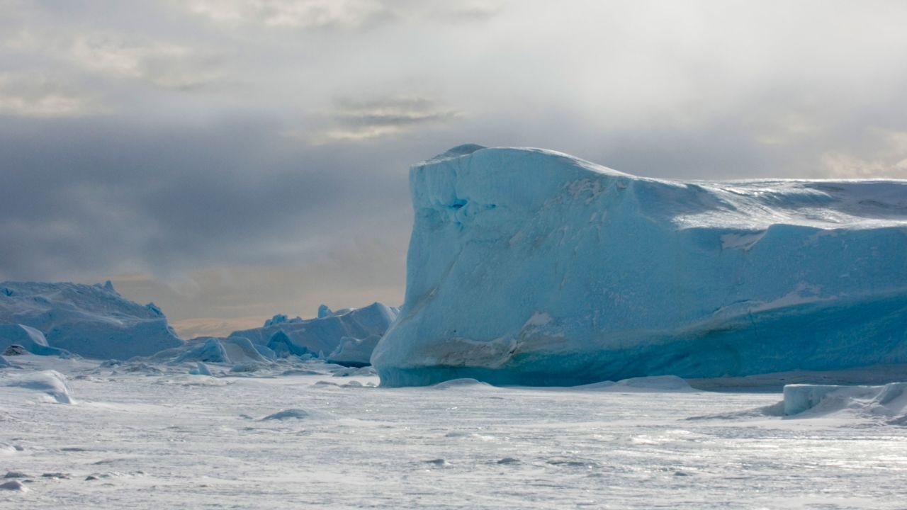 Antarctic sea
