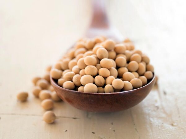 Developing of Drought Resistant Soybeans
