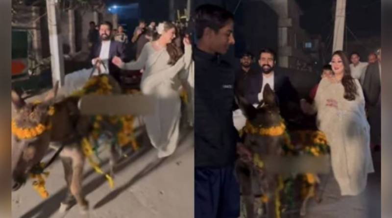 Bride and groom use donkeycart