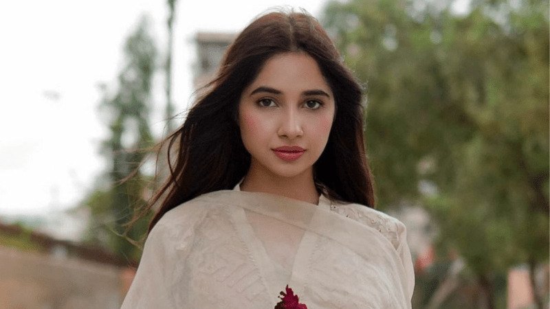 Sabeena Farooq is a stunning Pakistani television star best known for her role as Maina in the hit show Suno Chanda.