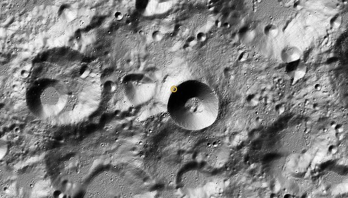 Scientists 'planning to grow food'