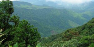 Top 8 movies about the Amazon Jungle