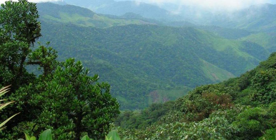 Top 8 movies about the Amazon Jungle