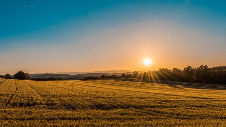 The interim Punjab government has given the Pakistan Army over 45000 acres of land for a "Corporate Agriculture Farming" project.