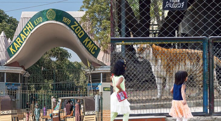 Mismanagement of Karachi Zoo