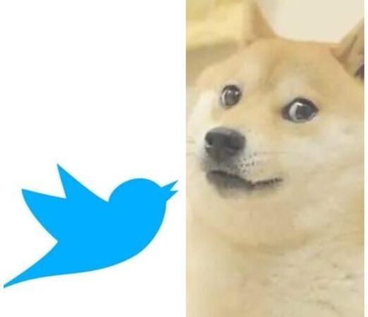 Twitter's Blue Bird logo