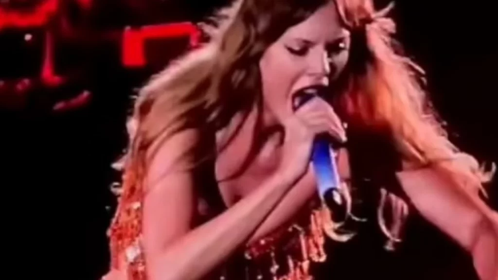 Taylor Swift yells at security guard to save his fan