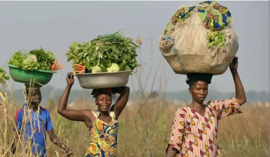 Zimbabwe ranked as ''Most miserable country in the world''
