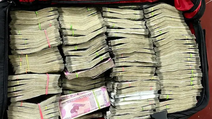 Money grows on trees in Karnataka. Here's the proof