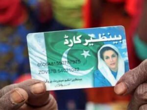 What is Benazir Income Support Programme?