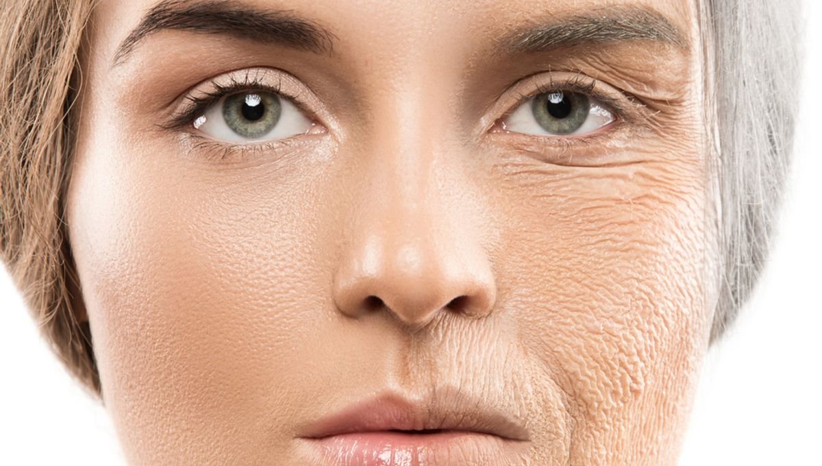 Harvard researchers claim they've found anti-ageing chemical