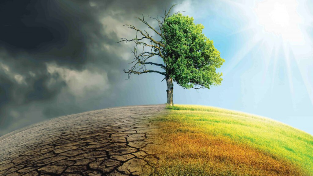 Environmental Degradation: Balancing Economic Growth and Sustainability in Pakistan