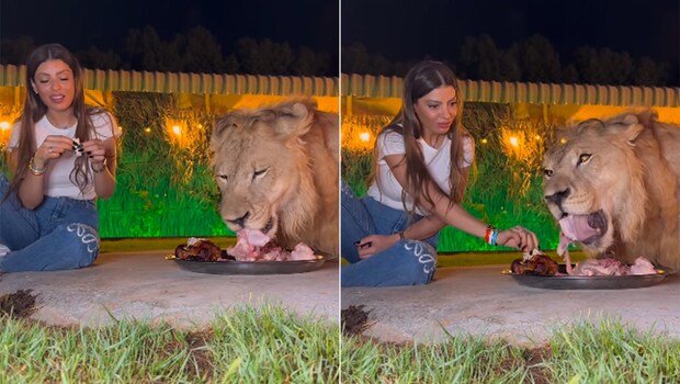 Viral video: Brave lady eats meal with majestic Lion