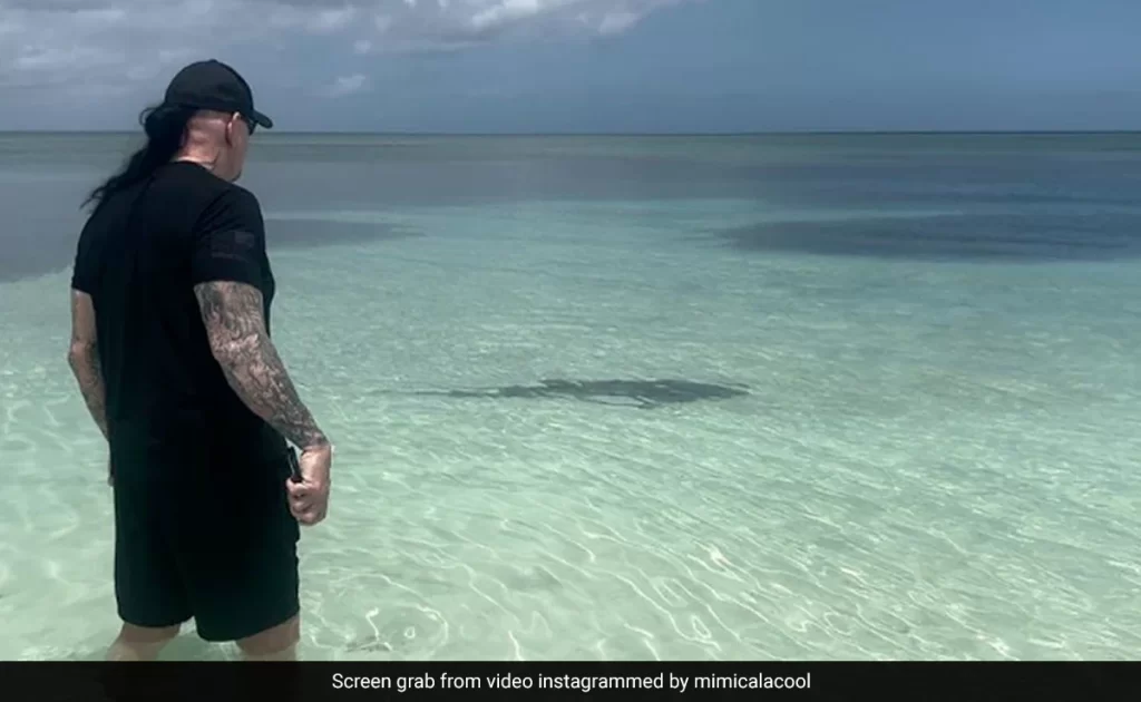 Watch: WWE legend Undertaker saves wife from Shark attack