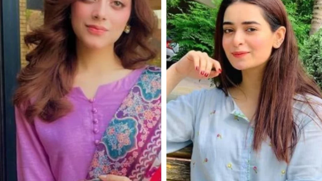 Actress Minsa Malik files FIR against Alizeh Shah