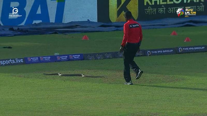 WATCH: Large snake disrupts Lanka Premier League match