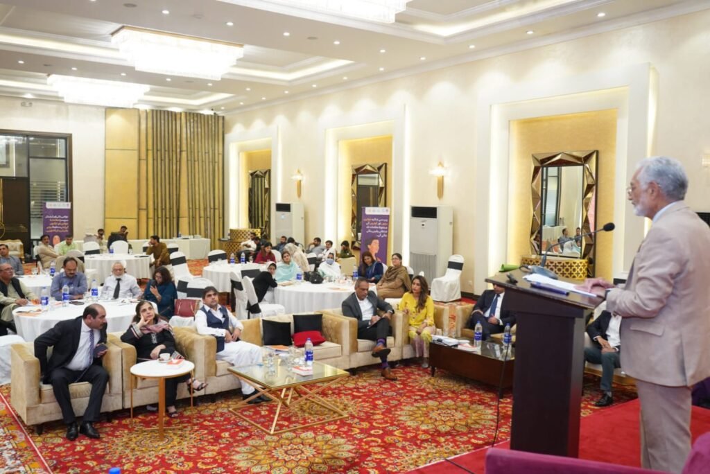 Consultation to Review & Accelerate the Implementation of Violence Against Women & Anti-Rape Acts in Punjab