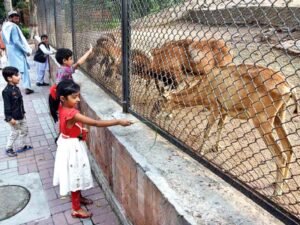 Why has Lahore Zoo closed for three months?