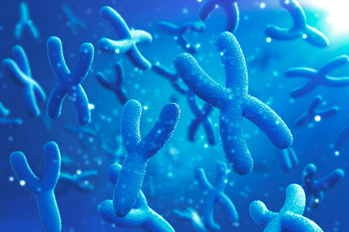 Why are men slowly losing their Y chromosome?