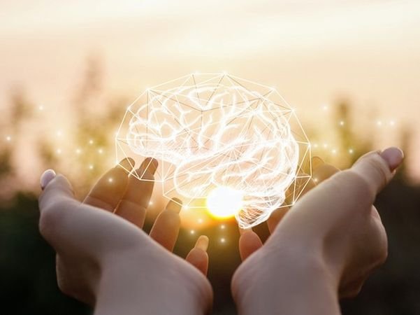 Mental wellness v. Happiness: A comparison of three large scale global initiatives
