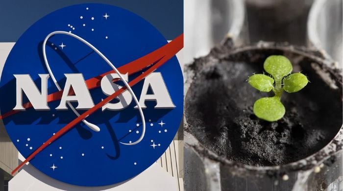 NASA's Artemis III mission to pave the way for lunar plant cultivation