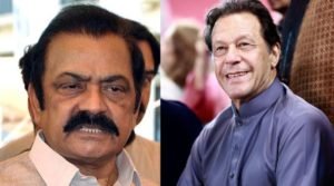 Sentences given to Imran Khan won't 'sustain' before honest judge: Rana Sanaullah