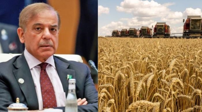 PM Shahbaz suspends secretary food security after Wheat scandal