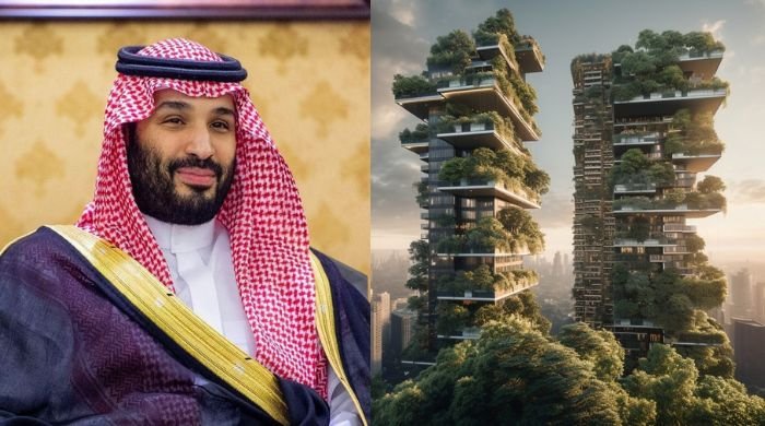How's Neom's unique name linked to Prince Mohammed bin Salman?