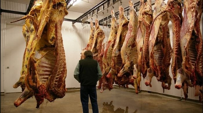 Dead animal meat being sold in Karachi: Report