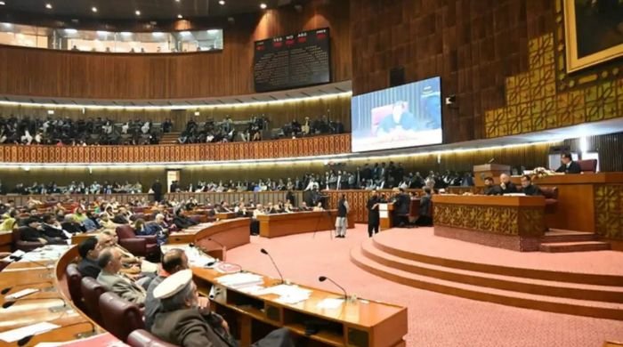 Constitutional Amendments Bill 2024: These 7 MNAs betrayed PTI