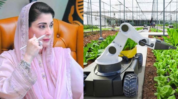 Chinese robotic agriculture plant to be set up in Punjab